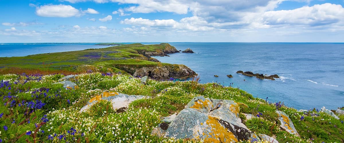 Beautiful Floral Peninsula