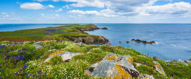 5 Reasons to Choose Ireland for Your Next Vacation