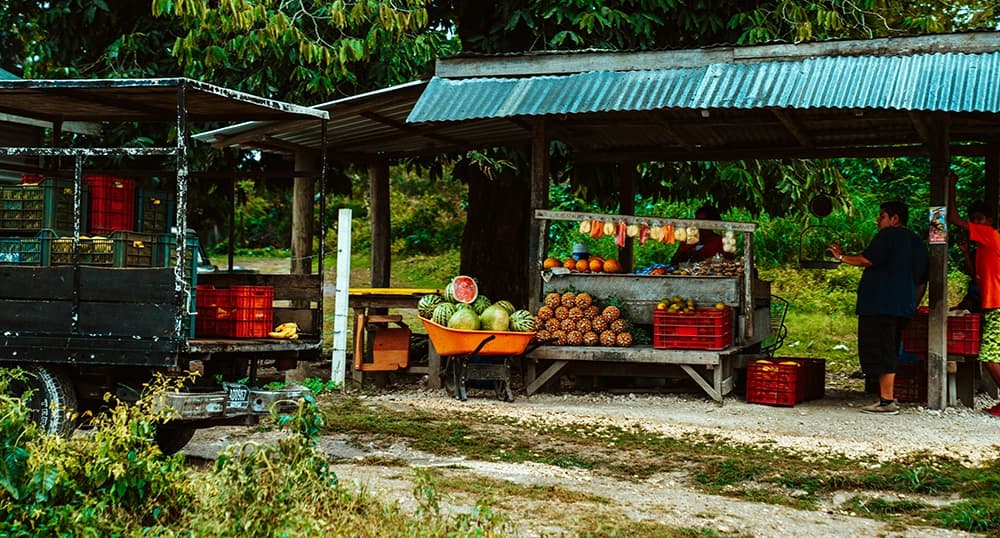 Fresh fruits at a fruit stand on the side of the road.