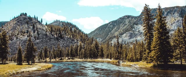 From Eclipse to Kayak to Disaster to Salvation in Yellowstone